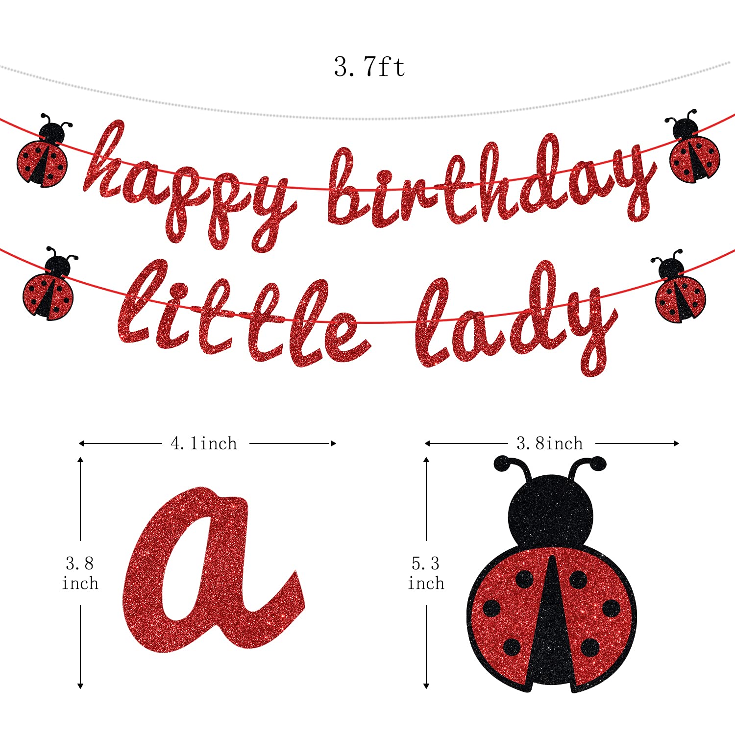 Ladybug Theme Happy Birthday Little Lady Banner - Girl's Baby Shower/Birthday Party Backdrops- Baby's 1st/2nd/3rd Barthday Decorations Supplies