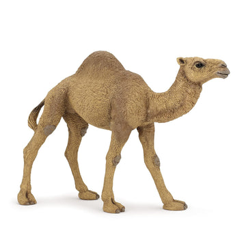Papo - Realistic Dromedary Figure - Ages 3+ - Wild Life Collection - Educational Play Desert Animals - Gift Idea Toy for Girls and Boys