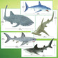 Safari Ltd. Shark Toy Set - Figurines of Great White, Tiger, Whale Shark, Hammerhead, and Mako - Play Set for Boys, Girls & Kids 3+