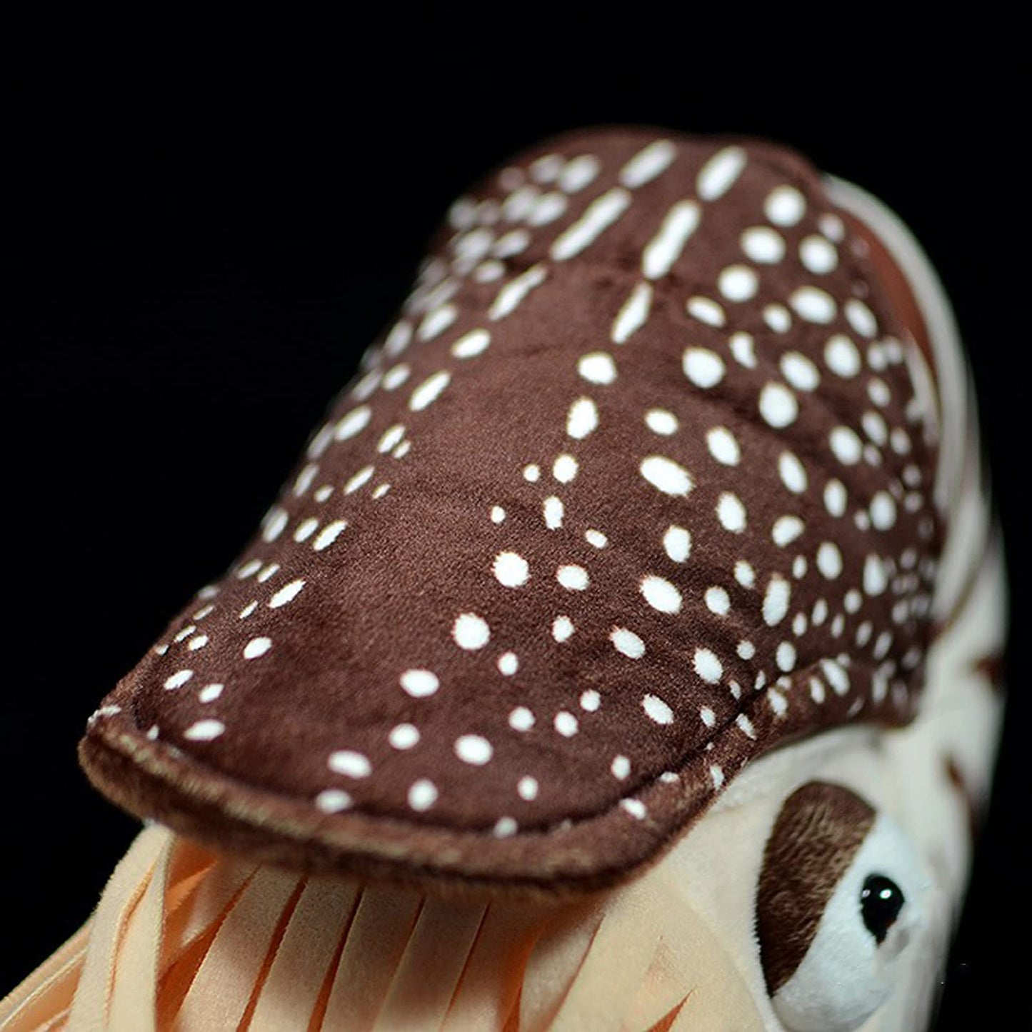 Nautilus Stuffed Animal, Realistic Nautilus Plush Toy, Lifelike 8 Inch Nautilus Toy, Stuffed Cuddly Soft Sea Creatures Nautilus Model Plush Toy, Gift