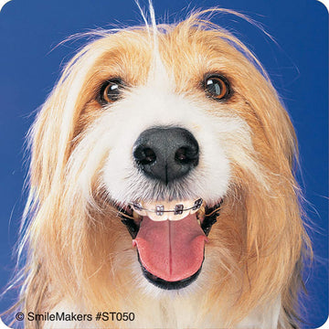 SmileMakers Dogs with Braces Dental Stickers - Prizes and Giveaways - 100 per Pack