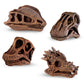 Safari Ltd. Dino Skulls Bulk Bag - Educational Set of Dinosaur Toy Skulls - 48 Piece Set for Boys, Girls & Kids Age 3+
