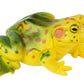 Insect Lore Frog Life Cycle Stages
