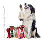 Pawcasso Artistically Blocked Paw-Terry Collection b Ever Wondered What it Would be Like if Your Furry Friends Could Channel Their Inner Picasso