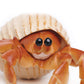 Safari Ltd. Hermit Crab Figurine - Detailed 4.5" Model Figure - Educational Toy for Boys, Girls, and Kids Ages 18M+
