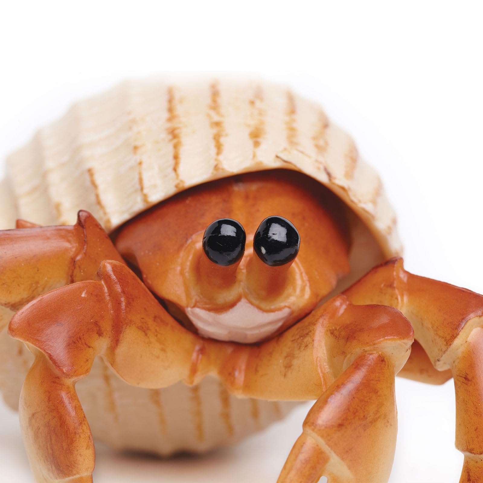 Safari Ltd. Hermit Crab Figurine - Detailed 4.5" Model Figure - Educational Toy for Boys, Girls, and Kids Ages 18M+