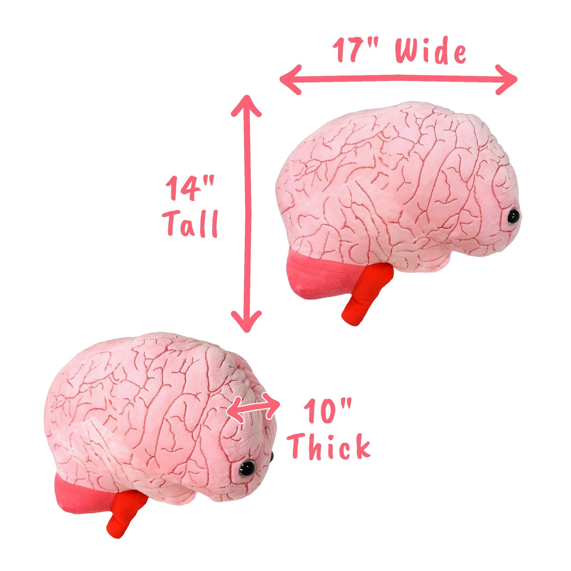 GIANT MICROBES Gigantic 17" Brain Organ Plush, Gift for Med Student, Gifts for Neurologist, Brain Surgery Recovery, TBI Awareness, Neurology Gifts