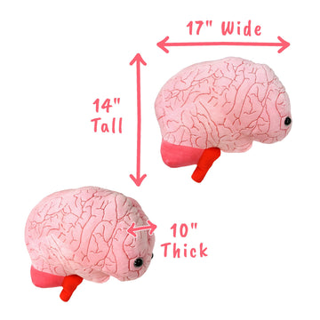 GIANT MICROBES Gigantic 17" Brain Organ Plush, Gift for Med Student, Gifts for Neurologist, Brain Surgery Recovery, TBI Awareness, Neurology Gifts