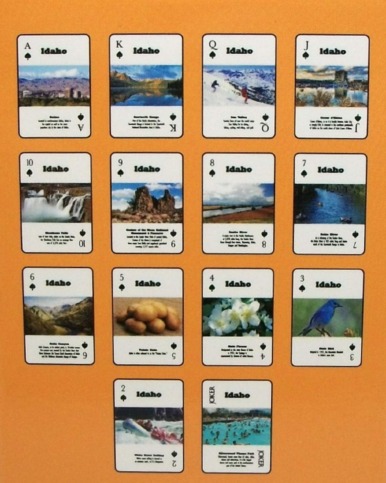 Saddle Mountain Souvenir Idaho Souvenir Playing Cards - 52 Fun Facts & Images, All Ages, Modern Style, Unisex, English, 1 Count, Pack of 52 Image