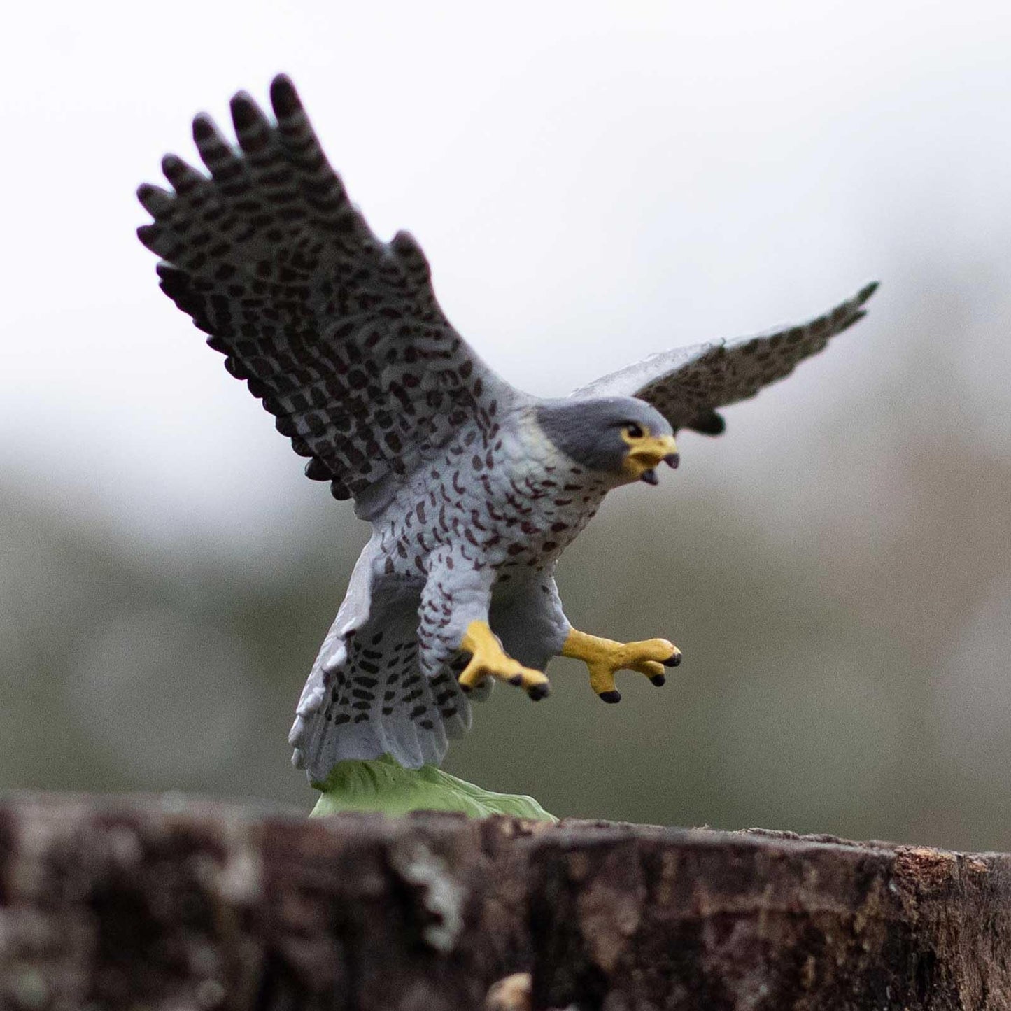 Safari Ltd. Peregrine Falcon Figurine - Detailed 3.75" Wingspan Plastic Model Figure - Fun Educational Bird Play Toy for Boys, Girls & Kids Ages 3+