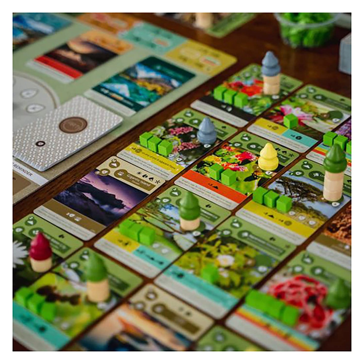 Inside Up Games Earth | Board Game of the Year 2023 | Ecosystem Building, Card Drafting, Action Selection | Create Amazing Natural Synergies | 1 to 5