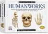 Skullduggery Eyewitness Kits Humanworks Human Skeleton Craft Kit