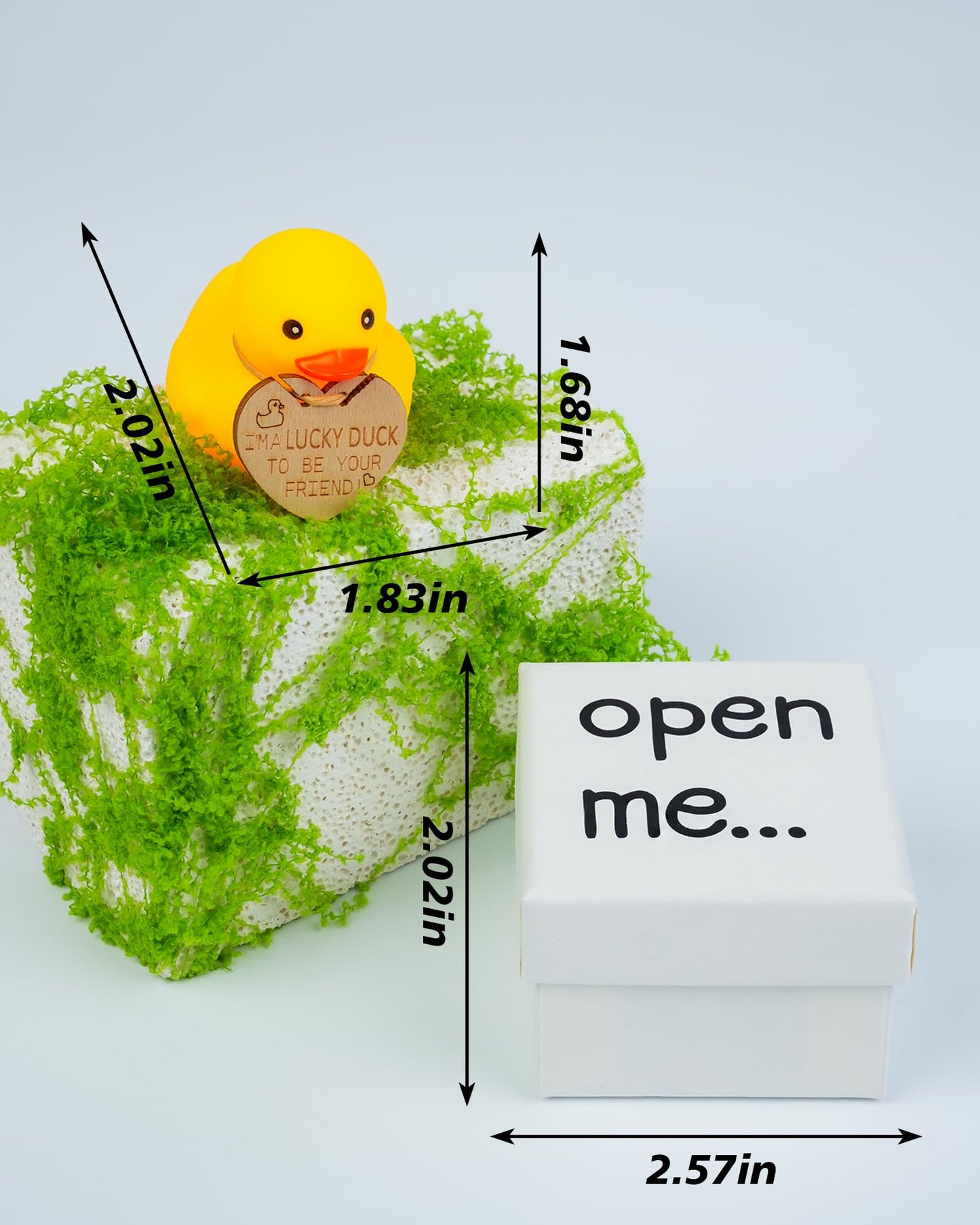 “Friend You Quack Me Up” Mini Rubber Duck - Fun Animal Gift - Adorable Duck Lover's Present, Humorous Novelty Gift Box.