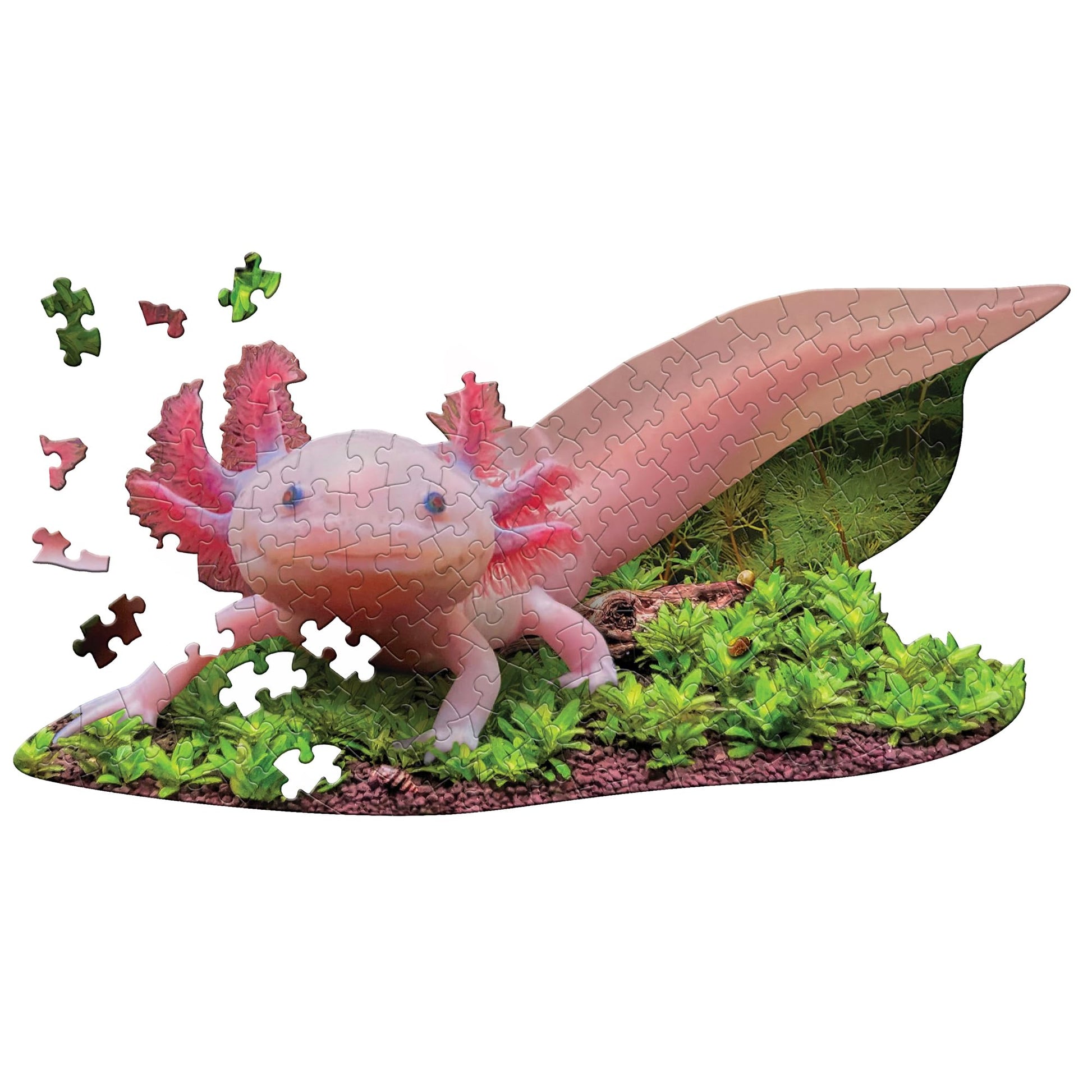 Madd CAPP: I Am Lil' Axolotl - 100 Piece Puzzle - Kids Animal-Shaped Jigsaw, 36" X 18" Finished Size, Poster Reference, Educational Fun Facts Booklet