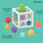 Playkidiz Shape Sorter Baby Toys, Sorting & Stacking Blocks Toy for Toddlers, Sensory Shapes, Early Learning Development Activity Cube for Boys