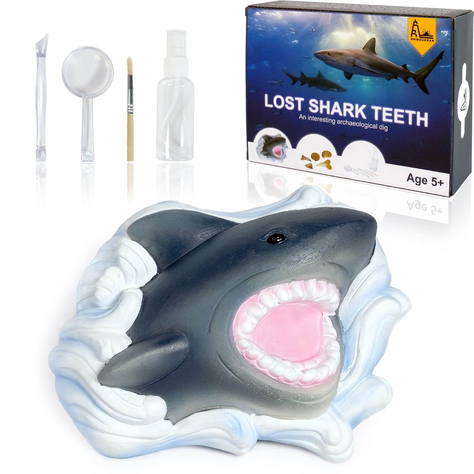 RRIBOUDWAN Shark Tooth Dig Kit, Shark Tooth Excavation Fossil, Shark Science Toy Gift for Kids Age 5+ for Holiday Birthday