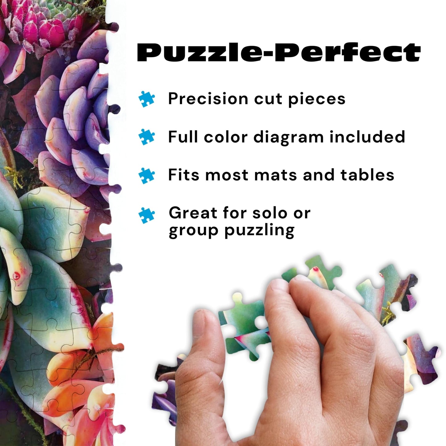 Buffalo Games - Simple Succulent - 1000 Piece Jigsaw Puzzle for Adults