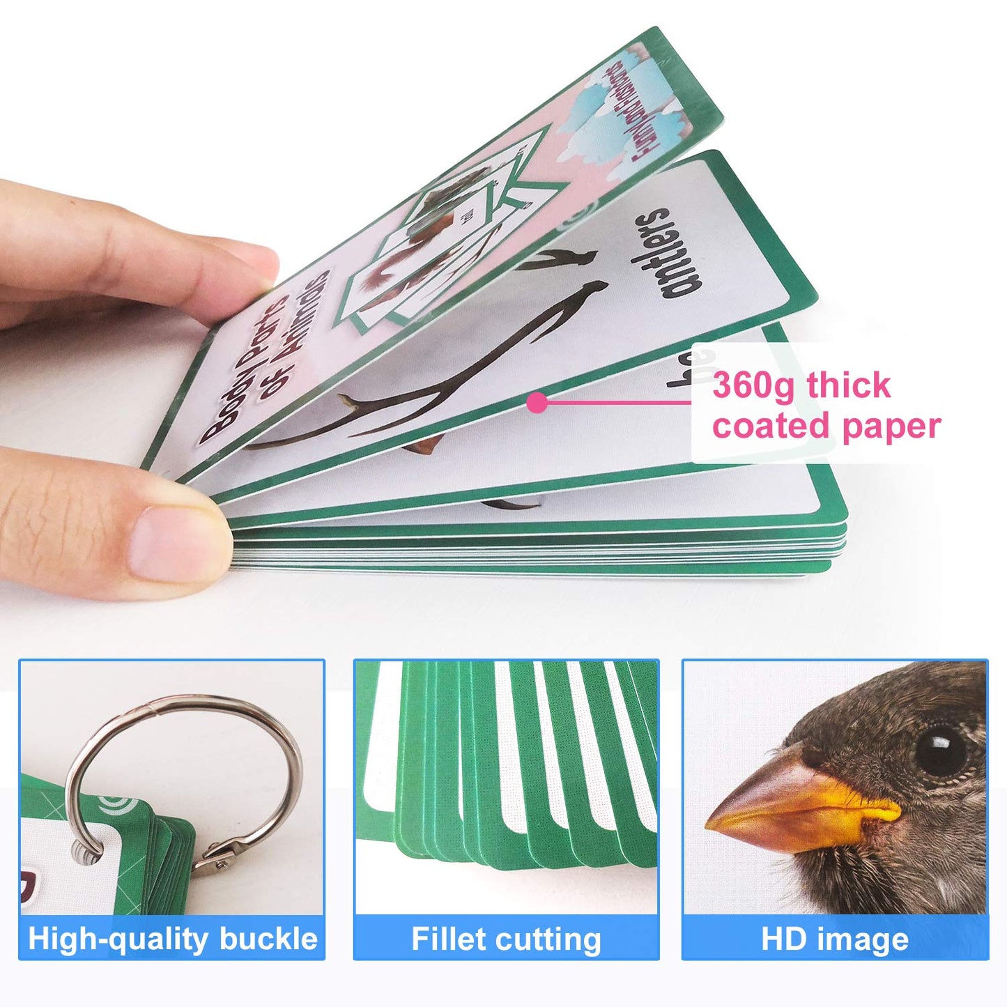 Zwttey 12PCS/Set Animals Body Parts Kids Gifts English Flash Cards Pocket Card Educational Learning Baby Toys for Children Pre-Kindergarten