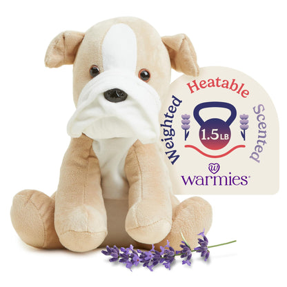 warmies Microwavable & Weighted Stuffed Animal, Bull Dog - Heating Pad Plushie - Weighted Plush Stress Relief Toy - Cute Stuffed Animals Gift -