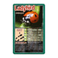 Top Trumps Card Game Bugs - Family Games for Kids and Adults - Learning Games - Kids Card Games for 2 Players and More - Kid War Games - Card Wars