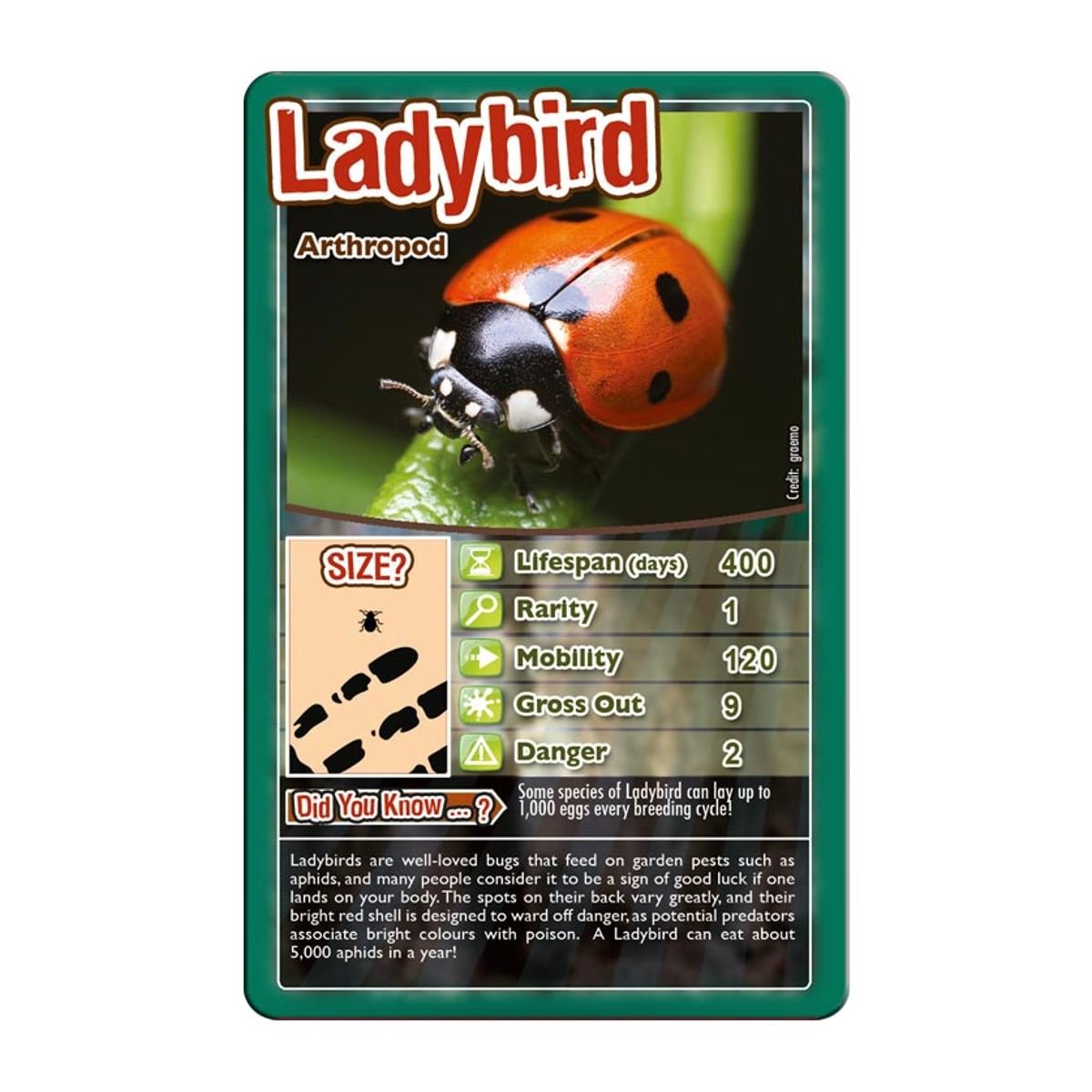 Top Trumps Card Game Bugs - Family Games for Kids and Adults - Learning Games - Kids Card Games for 2 Players and More - Kid War Games - Card Wars