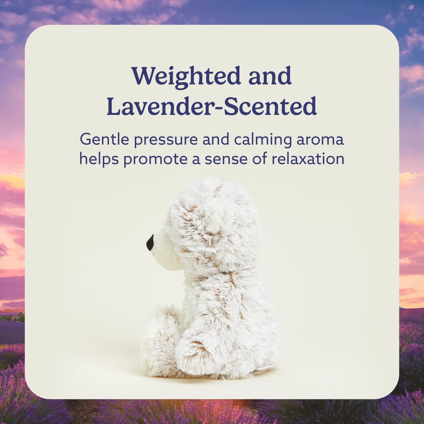 Warmies Marshmallow Bear Plush, 1 EA
