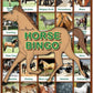 Horse Bingo Educational Game | 6 Picture Boards, 42 Informative Cards & Bingo Chips | Fun for All Ages | Made in The USA