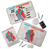 Fun Express 17" x 11" STEM Heart Circulation Activity Learning Challenge Craft Kit - Makes 12