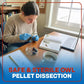 Oregon Owl Pellets Dissection Kit, 6 Large Pellets with Tools and Bone Chart - Classroom Science