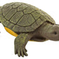Safari Ltd. Pets TOOB - 12 Figurines of Household Pets - Educational Toy Figures for Boys, Girls and Kids Ages 3+