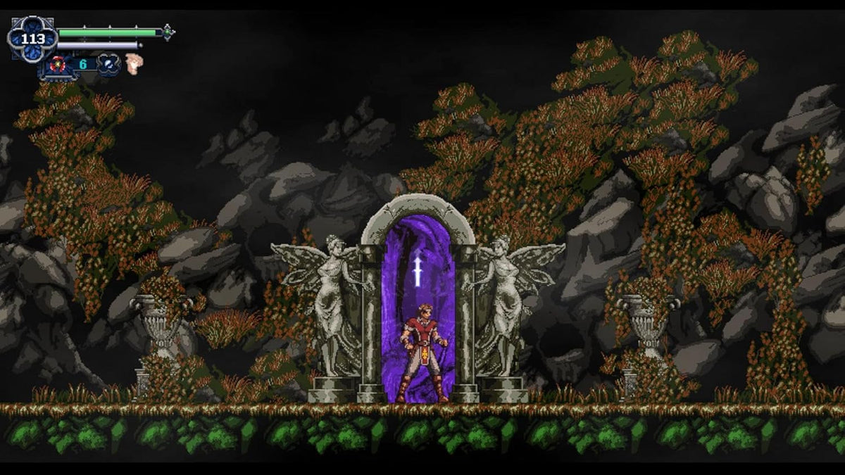 Chronicles of the Wolf - NS - UK