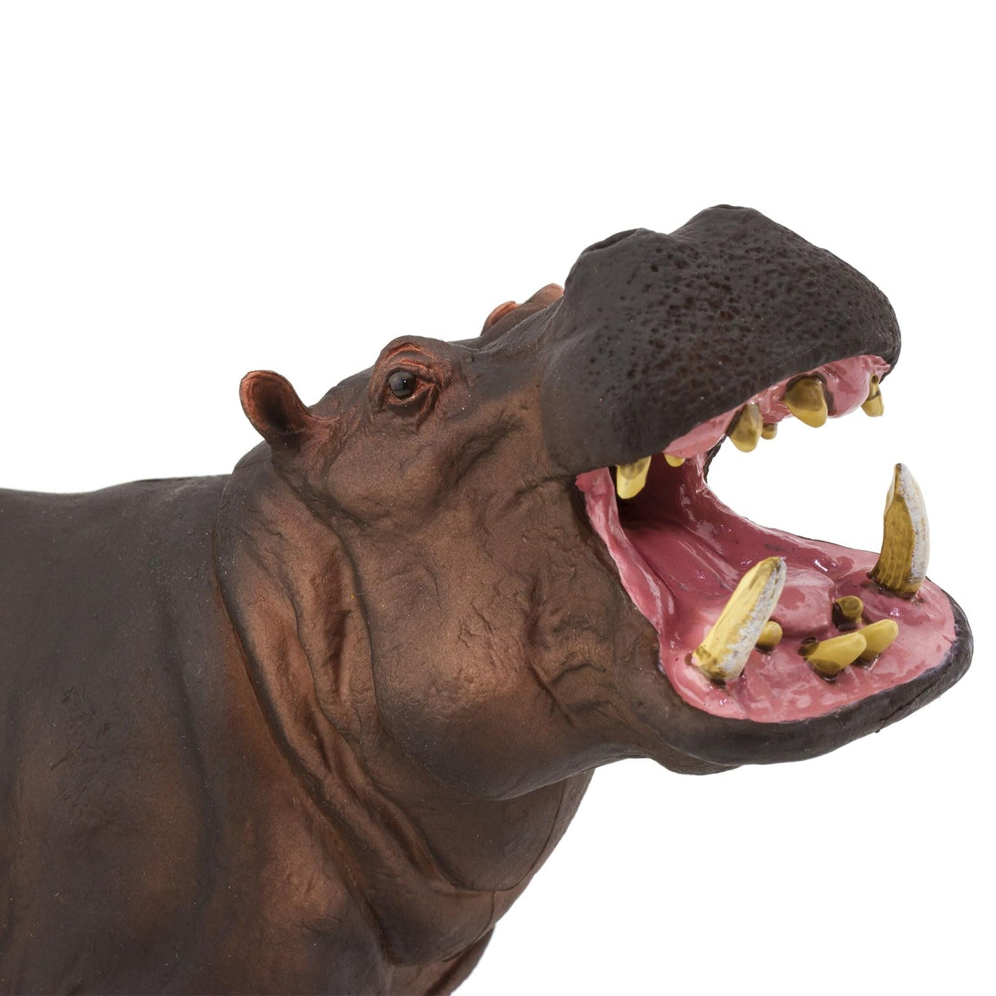 Safari Ltd. Hippopotamus Figurine - Detailed 8.75" Plastic Model Figure - Fun Educational Toy for Boys, Girls & Kids Ages 3+