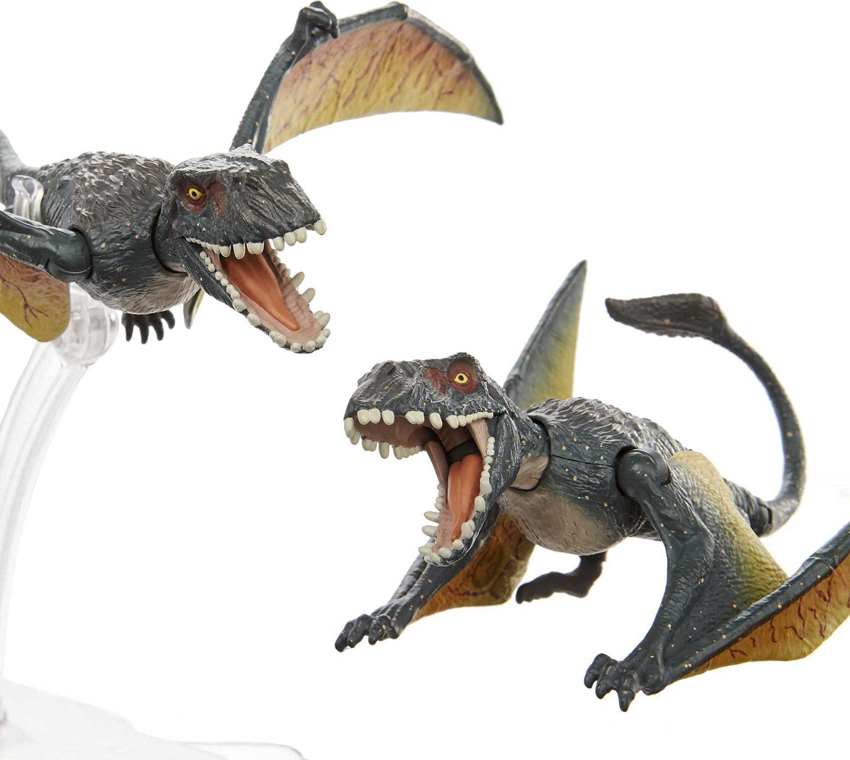 Jurassic World Toys World Amber Collection Dimorphodon Flying & Crouching Dinosaur Figure Collectibles 2-Pack Toy 6-in Scale, Posable Joints,
