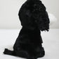 Ty Tracey Dog Plush, Black/White, Regular