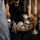 Fun Express White Plastic Realistic Skeleton Skulls 5 Inch for Halloween Party, Bar and Table Decorations, 12 Pack