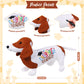 ZJoey Blank Dachshund with Graduation Cap Toys Autograph Stuffed Dog Class of 2026 Graduated Plush Stuffed Teddy Animal Dog for Graduation Day