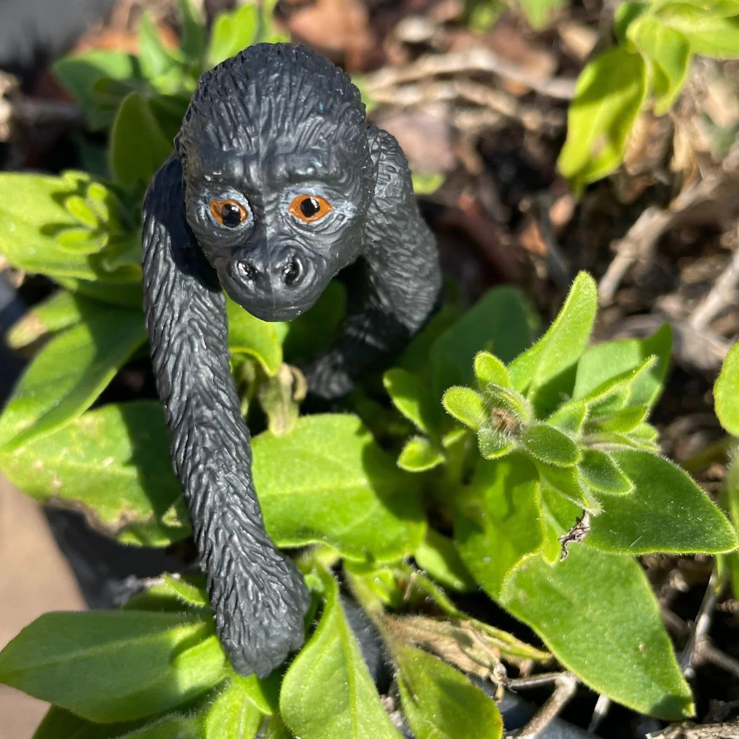 Safari Ltd. Lowland Gorilla Baby Figurine - Lifelike 3.3" Wildlife Figure - Educational Toy for Boys, Girls, and Kids Ages 3+