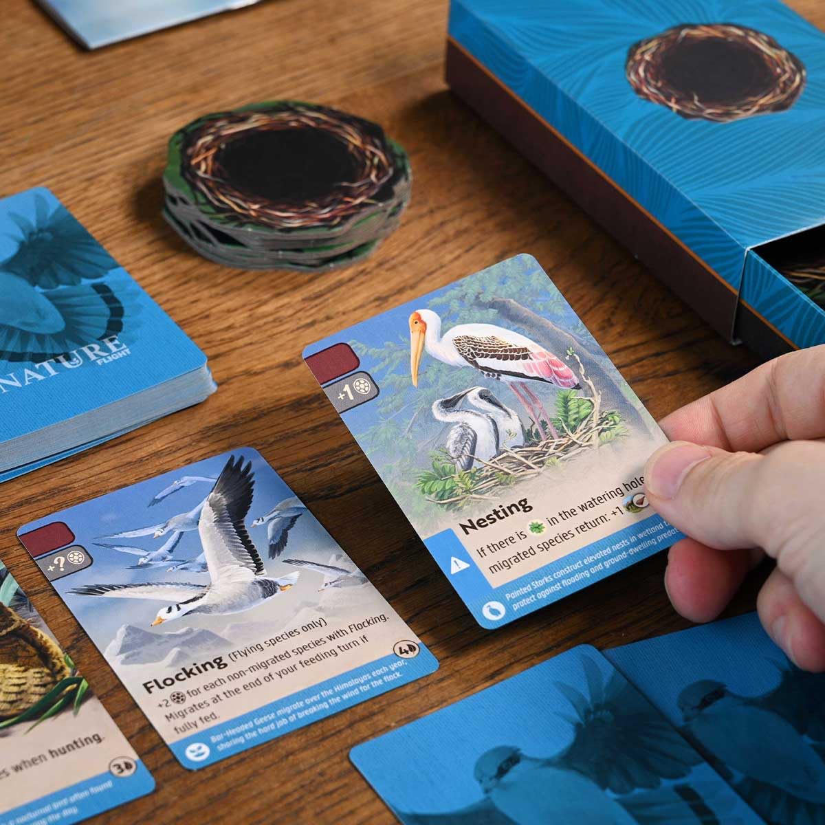 Nature Board Game Expansion - Module 1: Flight | Soar, Migrate, and Outsurvive Rivals with New Bird Traits | Wildlife Strategy Game | 1-4 Players