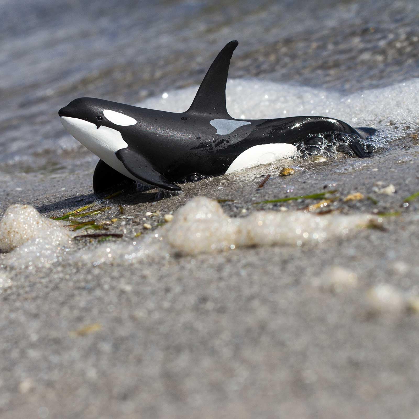 Safari Ltd. Wild Safari Sea Life Orca Figurine - Realistic 6" Killer Whale Model Figure - Educational Toy for Boys Girls & Kids Age 3+