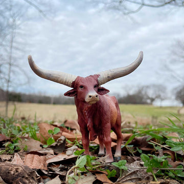 Safari Ltd. Watusi Bull Figurine - Detailed 6" Plastic Cow Figure - Educational Farm Animal Toy for Boys, Girls, and Kids Ages 3+
