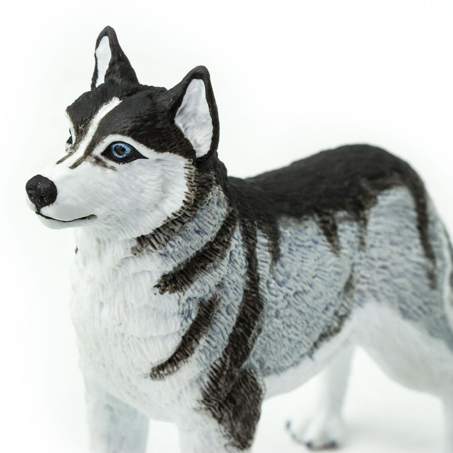 Safari Ltd. Siberian Husky Figurine - Detailed 3.25" Plastic Model Figure - Fun Educational Play Toy for Boys, Girls & Kids Ages 3+