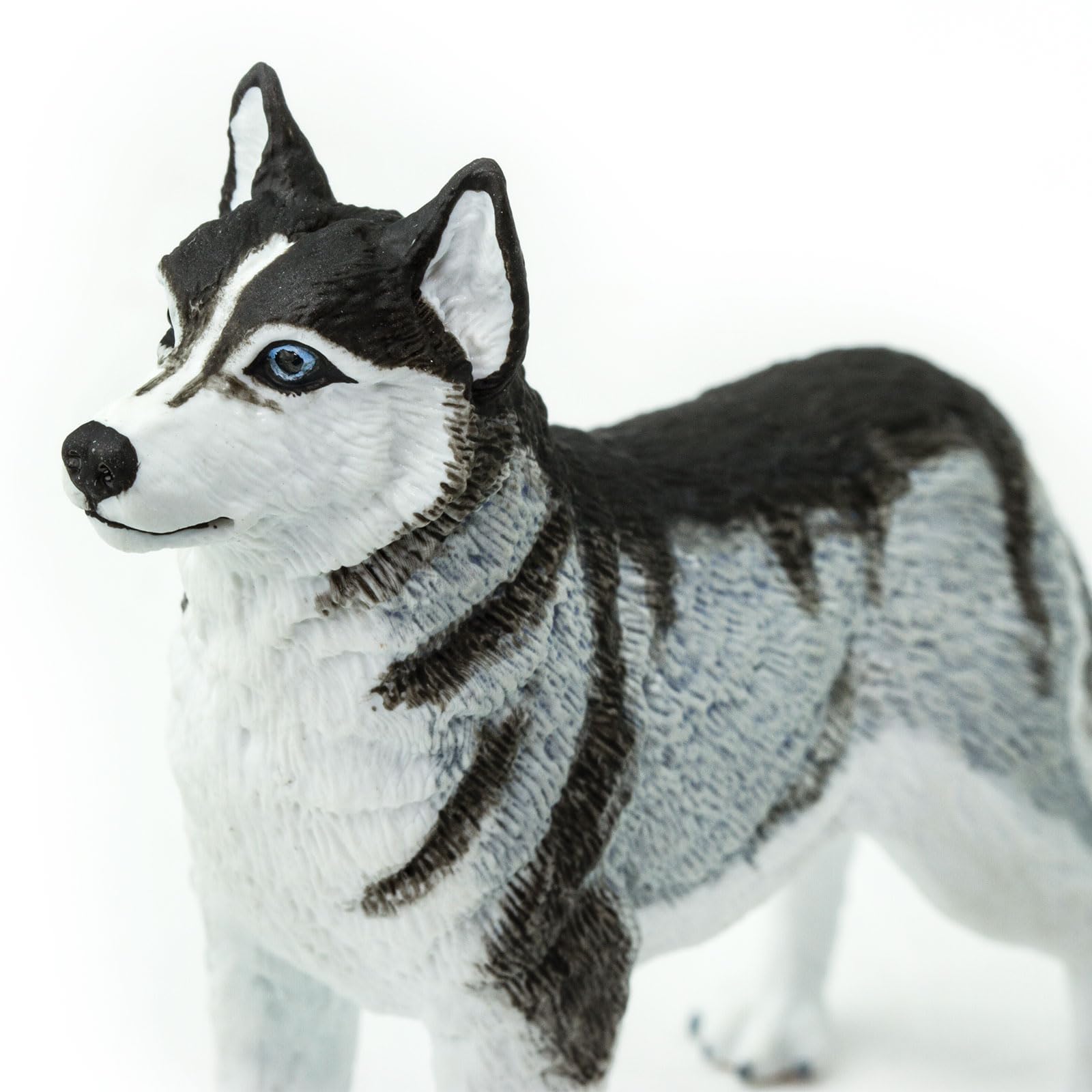 Safari Ltd. Siberian Husky Figurine - Detailed 3.25" Plastic Model Figure - Fun Educational Play Toy for Boys, Girls & Kids Ages 3+