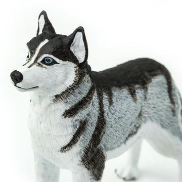 Safari Ltd. Siberian Husky Figurine - Detailed 3.25" Plastic Model Figure - Fun Educational Play Toy for Boys, Girls & Kids Ages 3+