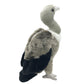 JIANEEXSQ Cute Life Like Vulture Stuffed Animal Plush Toy Simulation Cinereous Vulture Doll Children Birthday Gift 14in