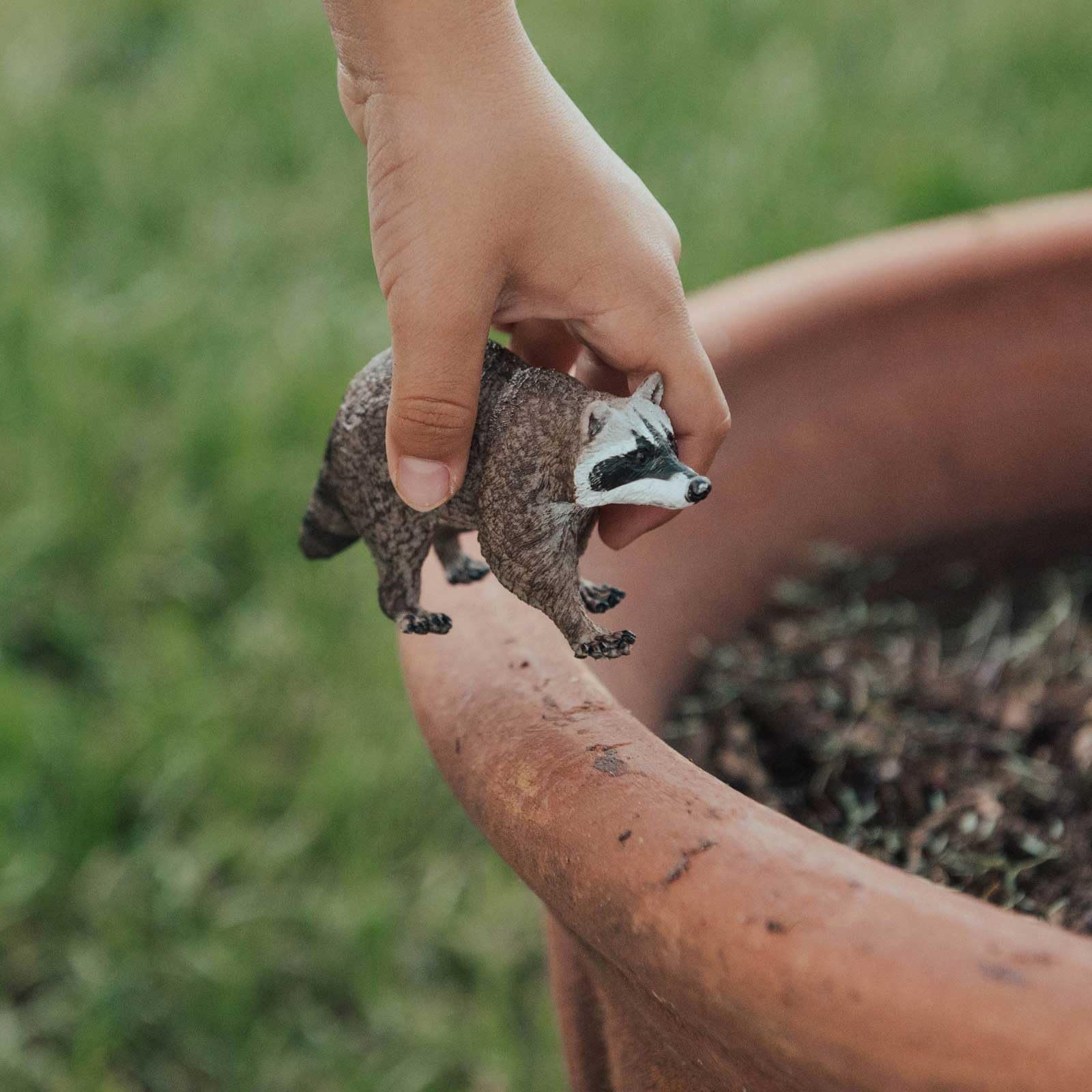 Safari Ltd. Raccoon Figurine - Detailed 3.5" Plastic Model Figure - Fun Play Toy for Boys, Girls & Kids Ages 1+