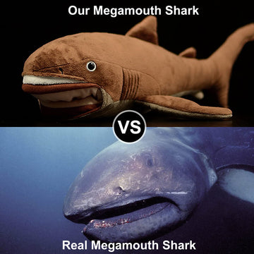 ZHONGXIN MADE Simulation Megamouth Shark Plush Toy - Realistic 20" Long Lifelike Whale Stuffed Toys, Super Soft Realistic Sea Simulation Shark Plush