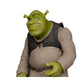 NBC/Unv 12In Posed - Shrek (Mcfarlane Digital)