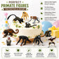 Safari Ltd. Primates TOOB - Figurines of Various Monkeys - Fun Educational Play Toy for Boys, Girls & Kids Ages 3+