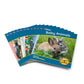 Junior Learning Letters & Sounds Phase 1 Set 2 Non-Fiction, Multicolor