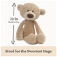 GUND Toothpick 22-Inch Classic Teddy Bear Plush Toy for Ages 1+
